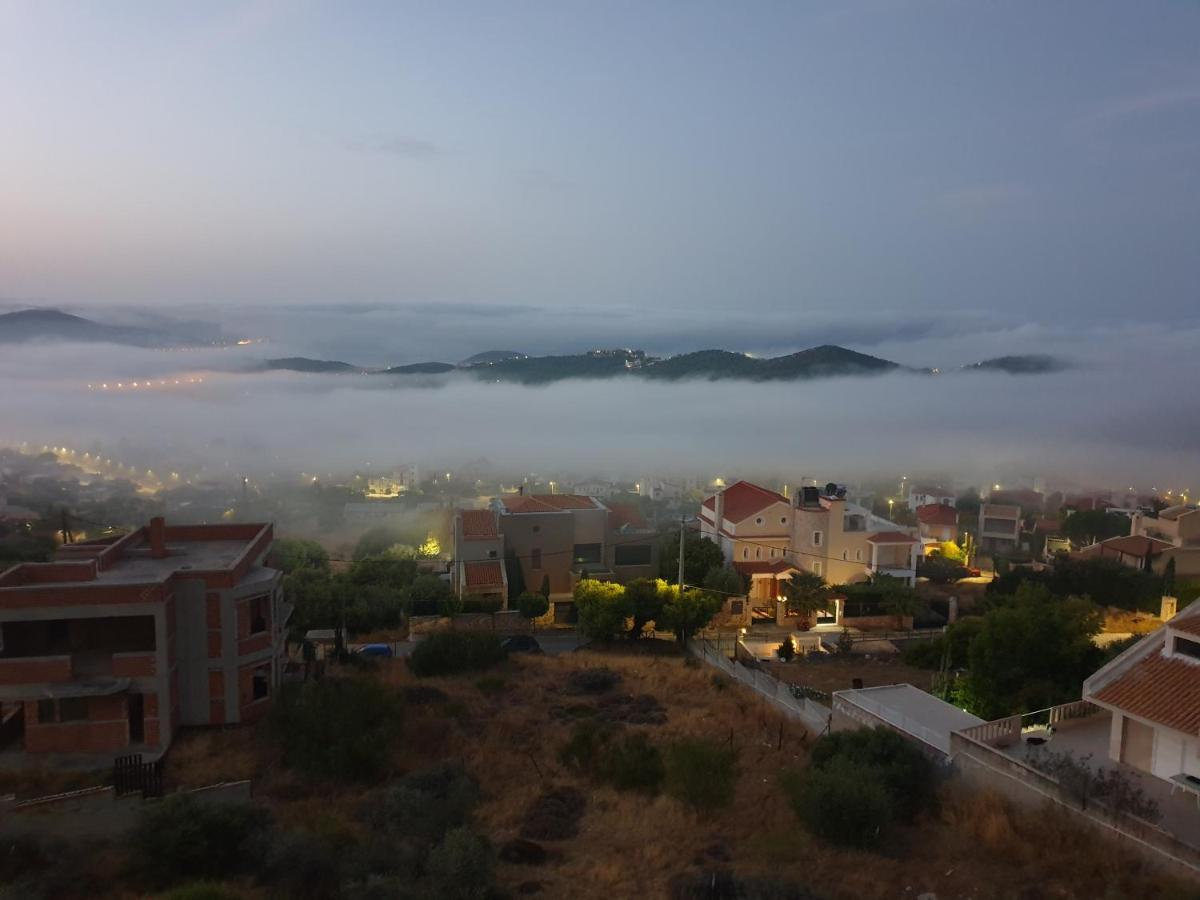 Stergiou Luxury Apartments With Shared Pool Ανάβυσσος Εξωτερικό φωτογραφία